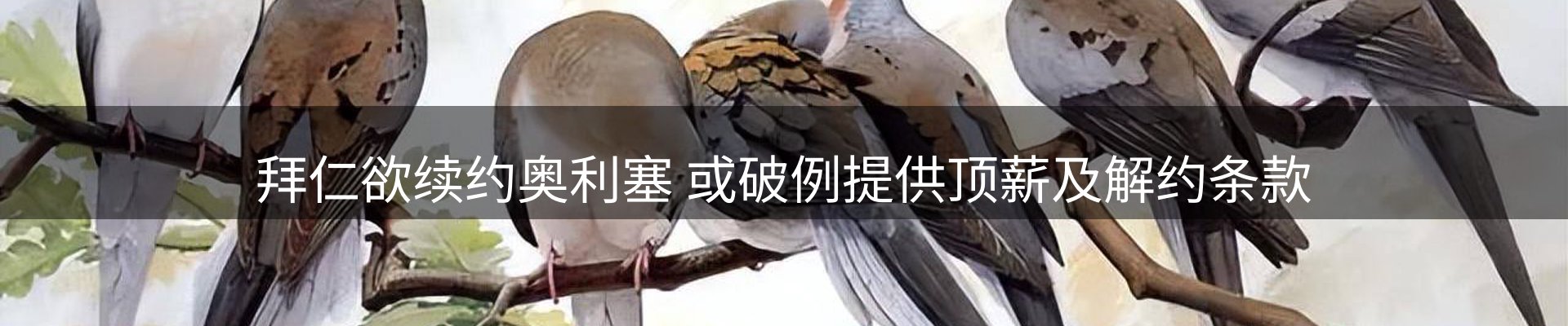 焦点动态